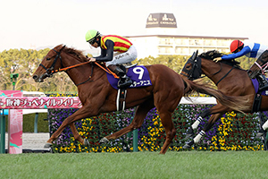 Hanshin Juvenile Fillies (G1)