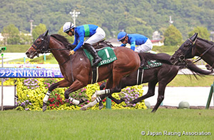 Radio Nikkei Sho (G3)