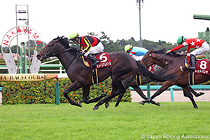 Asahi Hai St. Lite Kinen (Japanese St. Leger Trial) (G2)