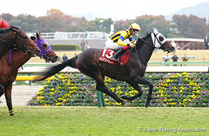 Copa Republica Argentina (G2)