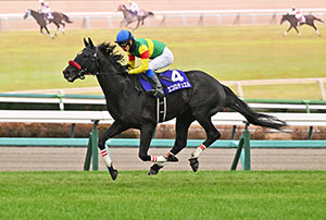 Nakayama Daishogai (J-G1)