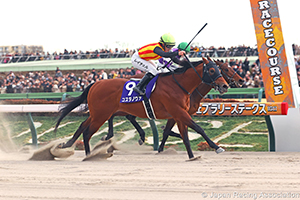 February Stakes (G1)