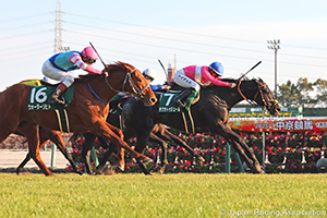 Sports Nippon Sho Kyoto Kimpai (G3)