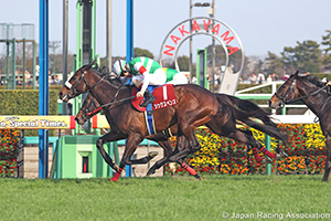 Nakayama Kinen (G2)