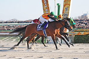 February Stakes (G1)