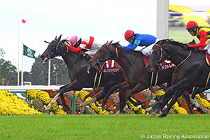 MBS Sho Swan Stakes (G2)