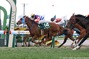 Silk Road Stakes (G3)