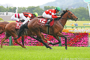 Keio Hai Spring Cup (G2)