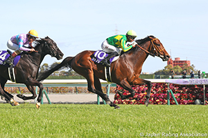 Takamatsunomiya Kinen (G1)