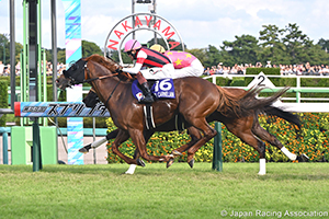 Sprinters Stakes (G1)