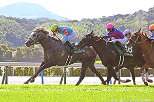 TV Nishinippon Corp. Sho Kitakyushu Kinen (G3)