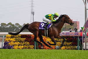 Takamatsunomiya Kinen (G1)
