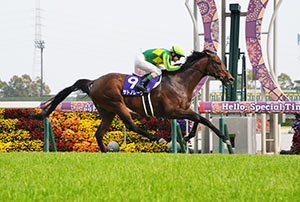 Takamatsunomiya Kinen (G1)