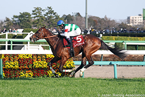 Nakayama Kinen (G2)
