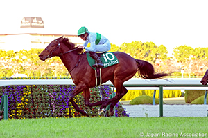 Naruo Kinen (G3)