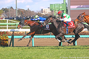 Hochi Hai Yayoi Sho Deep Impact Kinen (Japanese 2000 Guineas Trial) (G2)