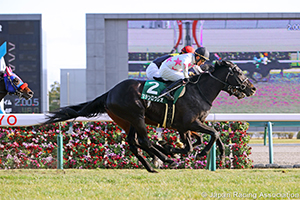 Kisaragi Sho (NHK Sho) (G3)