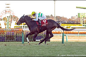American Jockey Club Cup (G2)