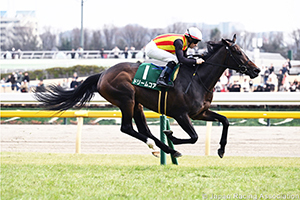 Daily Hai Queen Cup (G3)