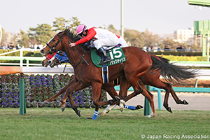 Fairy Stakes (G3)