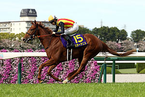 Oka Sho (Japanese 1000 Guineas) (G1)