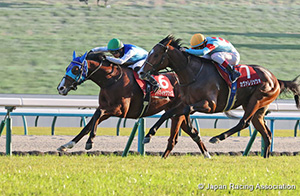 Daily Hai Nisai Stakes (G2)