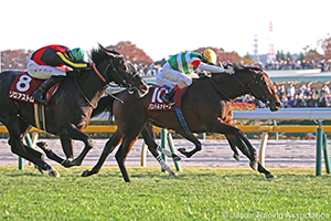 Tokyo Sports Hai Nisai Stakes (G2)