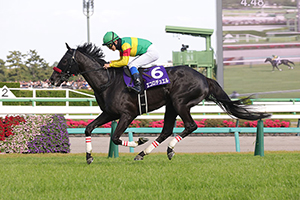 Nakayama Grand Jump (J-G1)