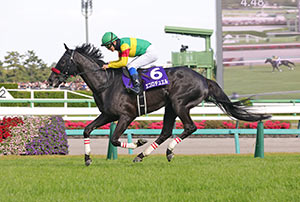 Nakayama Grand Jump (J-G1)