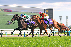 Tenno Sho (Spring) (G1)