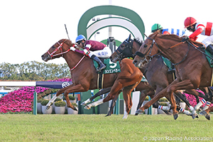 Radio Nikkei Hai Kyoto Nisai Stakes (G3)