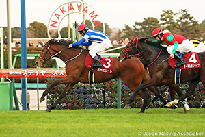 Sports Nippon Sho Stayers Stakes (G2)