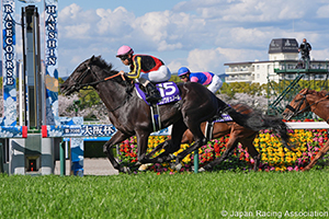 Osaka Hai (G1)