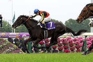 Tenno Sho (Spring) (G1)