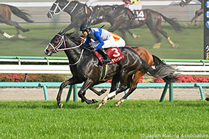 New Zealand Trophy (NHK Mile Cup Trial) (G2)