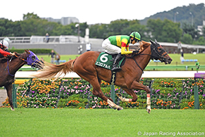 Saudi Arabia Royal Cup (G3)