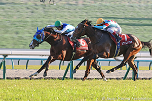 Daily Hai Nisai Stakes (G2)
