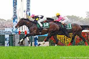 Churchill Downs Cup (NHK Mile Cup Trial) (G3)
