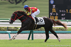 Fukuchan Sho