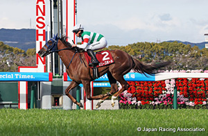 Hochi Hai Fillies&rsquo; Revue (Japanese 1000 Guineas Trial) (G2)