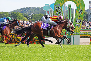 NHK Mile Cup (G1)