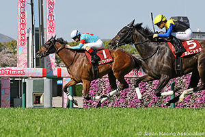 Sankei Sports Hai Hanshin Himba Stakes (G2)
