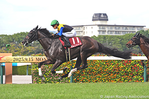 Kansai Television Co. Ltd. Sho Rose Stakes (Shuka Sho Trial) (G2)