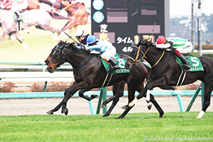 Turquoise Stakes (G3)