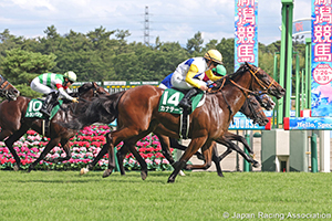 Sekiya Kinen (G3)