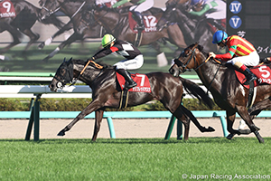 Shion Stakes (Shuka Sho Trial) (G2)