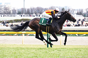 Daily Hai Queen Cup (G3)