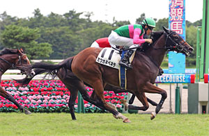 Mitsukane Venera