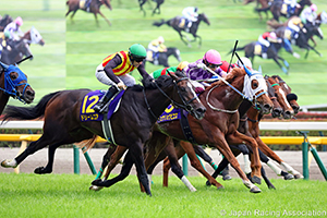 Yushun Himba (Japanese Oaks) (G1)