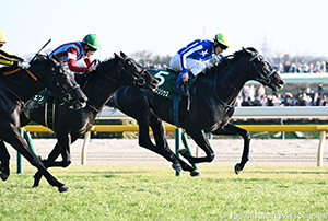 Kyodo News Hai (Tokinominoru Kinen) (G3)